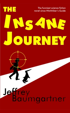 The Insane Journey cover