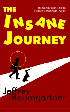 Cover of The Insane Journey by Jeffrey Baumgartner