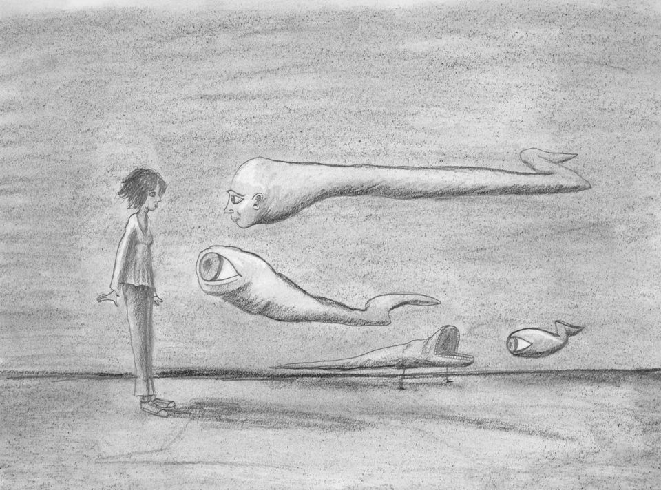 Curious Encounters