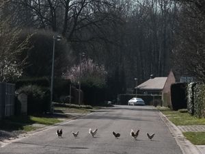 Abbey Road, Erps-Kwerps